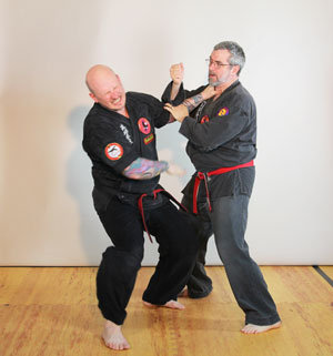 ryukyu kempo
